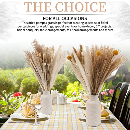 Natural Dried Pampas Grass - Boho Home Dried Flowers Decor – Includes 17 Inch White Pompous Grass, Bunny Tails, Natural Reed Grass –Fluffy Dried Flowers for Home Office Wedding Flower Arrangements