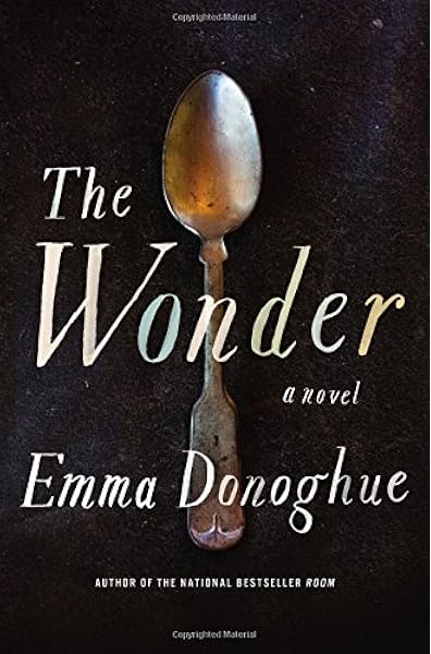 wonder weeks book amazon