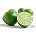 Melissa's Fresh Key Limes, (5 Lb)