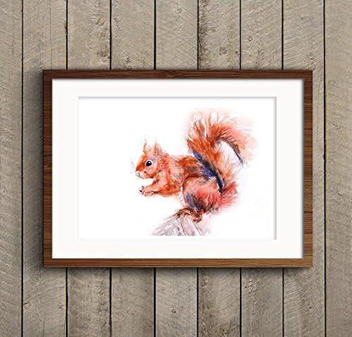 Fine Art Print of My Original Red Squirrel Watercolor Painting Signed A3 A4 Wildlife Animal