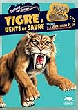 Tigre à dents de sabre (Chasseur de fossiles) (French Edition) by