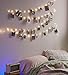 EZDC New Model 2-IN-1 Photo Clip String Lights, 20 LED String Lights for Bedroom, Fairy Lights, Photo Lights with Clips for Pictures + Attachable Photo Clips (6.5 Ft, Battery Operated, Warm White)