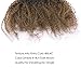 Lacer Afro Kinky Curly Human Hair Ponytail Hair Extensions 4B 4C Coily Natural Remy Curly Clip in Ponytail Extension One Piece For Black Women 10-20 inch (14 inch, Ombre #1B/4 Dark Brown)