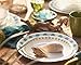 Corelle Livingware 16-Piece Dinnerware Set, South Beach, Service for 4