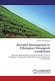 Image de Genetic Divergence in Ethiopian Fenugrek Landraces: Morpho-physiological and Nodulation Traits in Ethiopian Fenugreek (Trigonella foenum-graecum L.)La