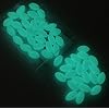 Luminous-Glow-Fishing-Beads-38×58-50-Pieces-Blue