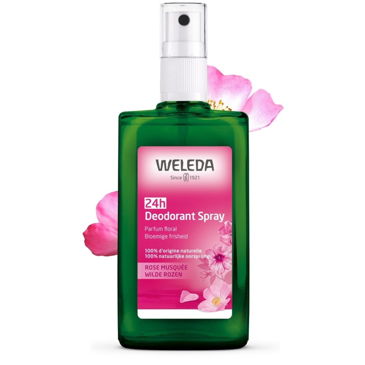 Weleda Wild Rose Deodorant 100ml