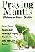 Praying Mantis Ultimate Care Guide by