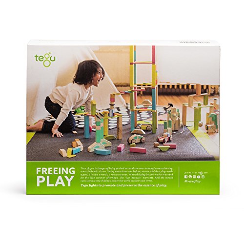 42 Piece Tegu Magnetic Wooden Block Expansion Pack Large, Tints