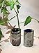 Biodegradable Plant Pot Maker for Seedlings - Nursery and Garden Seedling Starter - Biodegradable Starter Pots - Seed Germination Pots - Plant Propagation