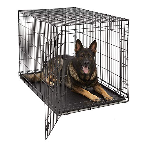 dog crates
