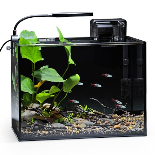 NICREW 2.5 Gallon Nano Aquarium