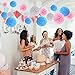 Blue 'N Blum Tissue Paper Pom Poms Decorations - Paper Flower - Party Decoration - Banner Happy Birthday for Party - Baby Shower - (12 pcs 12