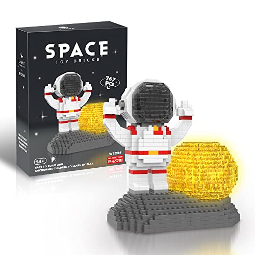 Astronaut Mini Blocks for Adults,Mini Space Building Blocks,Funny Space