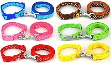 Puppy collar and lead uk Clearance