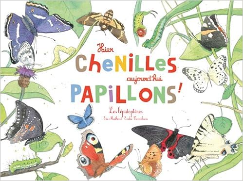 hier-chenilles-aujourdhui-papillons