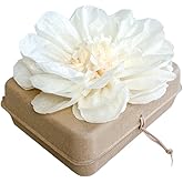 Biodegradable Water Burial Urn Kit - Cruise Approved | Ocean Ashes Scattering Ceremony with Certificate | Eco-Friendly Memorial Urn. (Small)