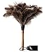Avian Ostrich Feather Duster with Bamboo Handle
