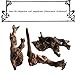 Hamiledyi 3 Pcs Natural Driftwood Branches Reptiles Aquarium Fish Tank Decoration, Largethumb 2
