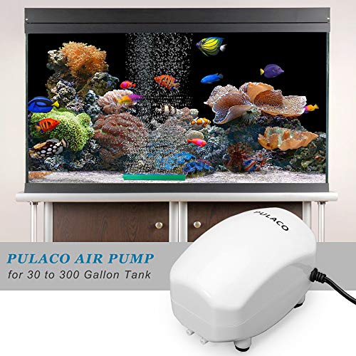 PULACO 210 GPH Ultra Quiet Aquarium Air Pump Dual Outlet , Fish Tank