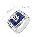 Lureme Vampire Diaries Alaric Jeremy's Matt's Ring Daylight Walking Signet for Fans (rg001813)