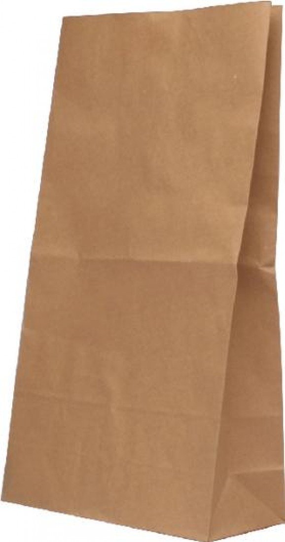 Dempson 302172 Paper Bag, 12.7 kg, 360 x 260 x 520 mm - Brown, Pack of 125