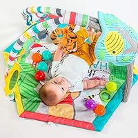 winnie the pooh activity gym
