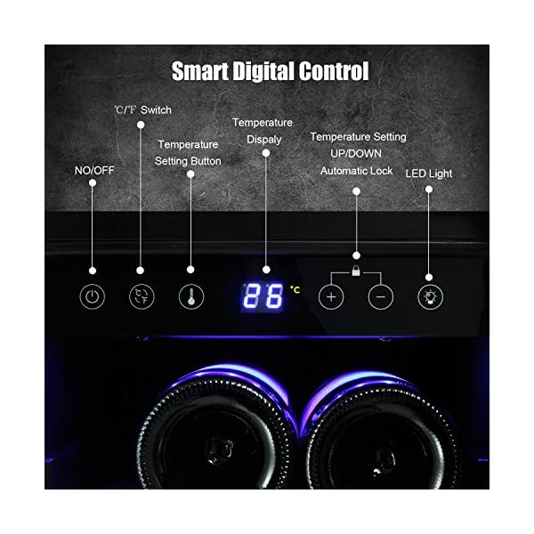 Bossin-Wine-Cooler-Refrigerator-Fridge-19-Bottles-Dual-Zone-Wine-Cellar-Built-in-Freestanding-Wine-Chiller-with-Stainless-Steel-Digital-Memory-Wood-ShelvesSilverCompressor-19-Bottle