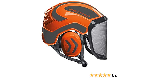 Pfanner Protos Integral Arborist Helmet 