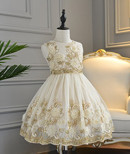 Ruffles Lace Bow Flower Tulle Princess Formal Wedding Birthday Party Dress for Toddler Baby Girl (18-24 Months, Champagne 3D)