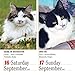 365 Cats 2017 Calendar