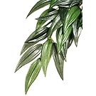 Exo Terra Plastic Terrarium Plant, Large, Mandarin