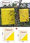 20 Pack Dual-Sided Yellow Sticky Traps for Flying Plant Insect Like Fungus Gnats, Aphids, Whiteflies, Leafminers(10pcs x10"x8" and 10pcs x8"x6",Twist Ties Included)