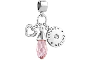 LovelyJewelry December Birthday Heart Love Simulated Birthstone Charms for Bracelets