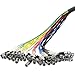 Seismic Audio - 32 Channel XLR Snake Cable 100' Long - 32 XLR Sends and 8 XLR Returns - Color Coded, Numerically Well Labeled - Heavy Duty 100 feet Long