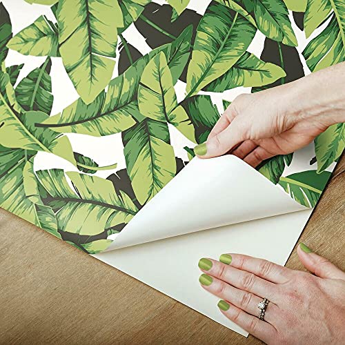 RoomMates RMK11045WP Tropical Palm Leaf Green Peel and Stick Wallpaper