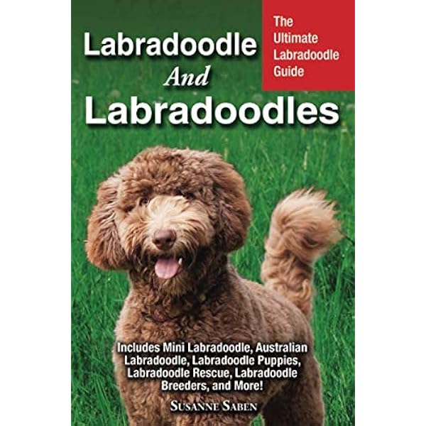Mini Labradoodles The Ultimate Mini Labradoodle Dog Manual Miniature Labradoodle Book For Care Costs Feeding Grooming Health And Training Hoppendale George Moore Asia 9781910617182 Amazon Com Books