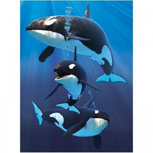 3D LiveLife Jotter - Orcas from Deluxebase. Lenticular 3D Ocean A6 Spiral Notebook with plain recycled paper pages. Artwork licensed from renowned artist David Penfound