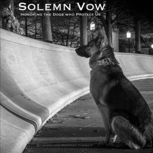 Download Solemn Vow Download Solemn Vow