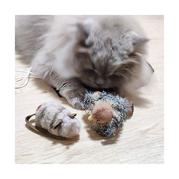 Vealind GiGwi Elektronisches Spielzeug für Hunde und Katzen