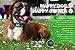Bark Collar by DogTECH: No Shock Humane Training Collar, Sound and Vibration Control, Stop Barking in Style, Comfortable Adjustable Size for All Breeds, Intelligent Microprocessor and Extra Batteries