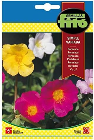 Semillas Fitó 590 - Semillas de Portulaca Simple Variada: Amazon ...