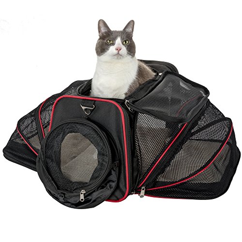 2 Side Expandable Cat Carrier and Small Dog Carrier by Pet Peppy