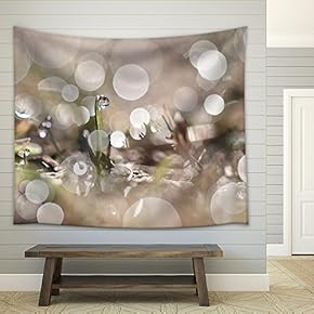 Close-Up of Morning Dew in Meadow with Incredible Reflections - Fabric Wall Tapestry Home Decor - 51x60 inches