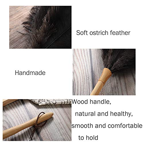 Feather Duster, Ostrich Feather Duster Fluffy Natural Genuine Ostrich