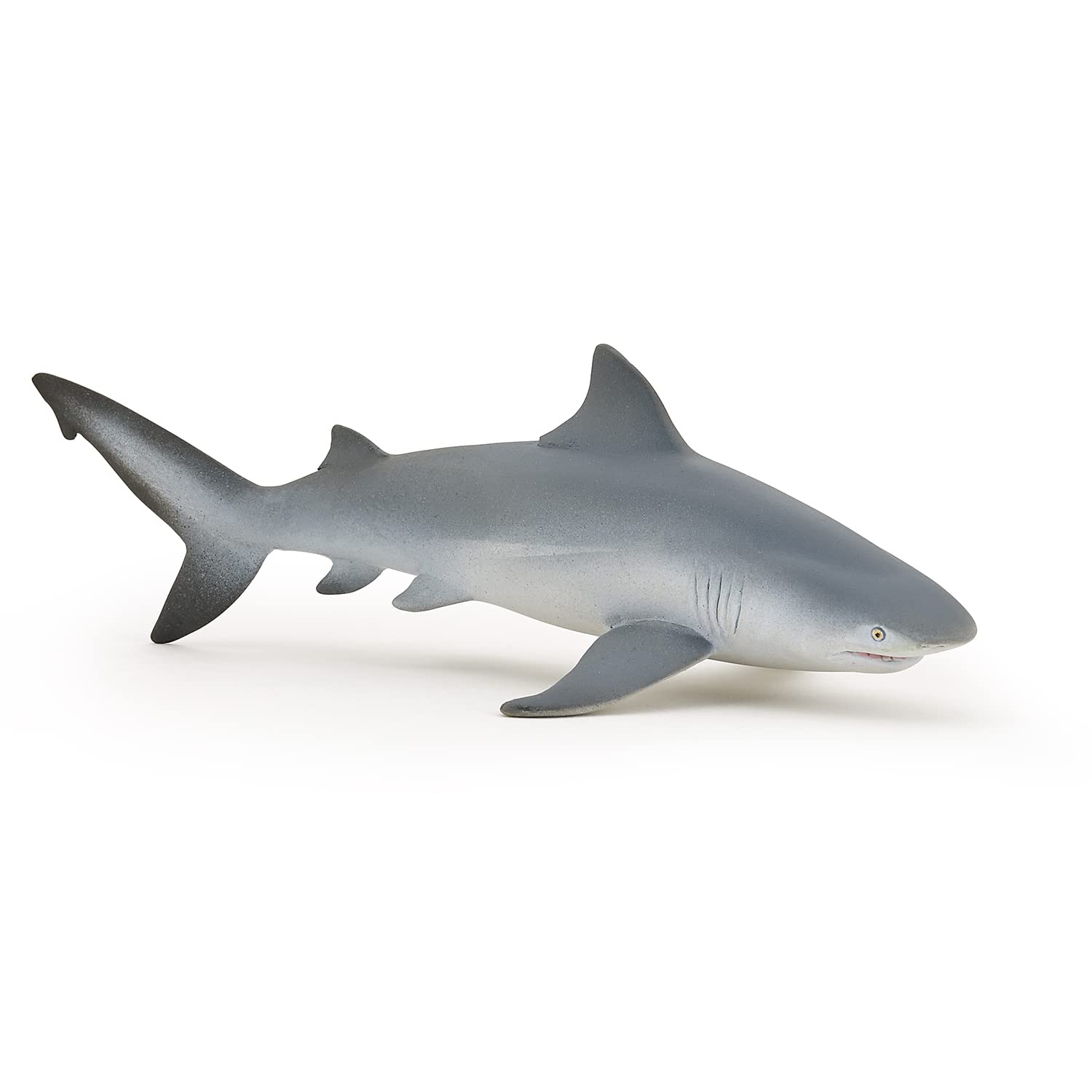 Papo - Realistic Bull Shark Figure Toy for Kids - Ages 3+ - Marine Life Collection - Educational Play Marine Predators - Gift Idea Toy for Girls and Boys - 15 Cm X 8 Cm X 5 Cm
