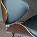 Corvus Madonna Walnut and Black Finished Contemporary Bent Look 30-inch Mid-Century Style Chair (1)