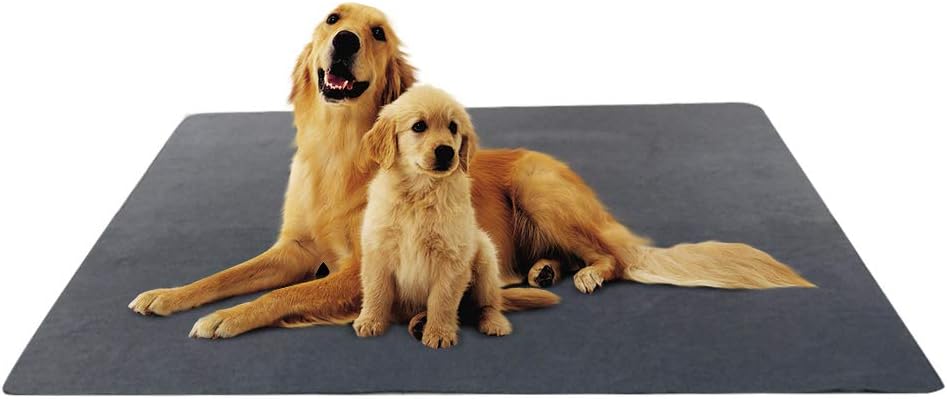 amazon puppy pee pads