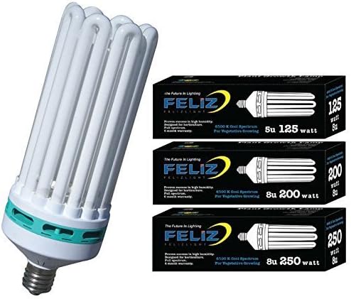 Feliz 6500K Fluorescent Lamp, 300-watt, Blue by Feliz