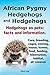 African Pygmy Hedgehogs and Hedgehogs. Hedgehogs as Pets: Facts and Information. Care, Breeding, Cages, Owning, House, Homes, Food, Feeding, Hibernation, Habitat, All Covered